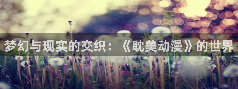 风车动漫专注动漫的门户官网：梦幻与现实的交织：《耽美动漫》的世界