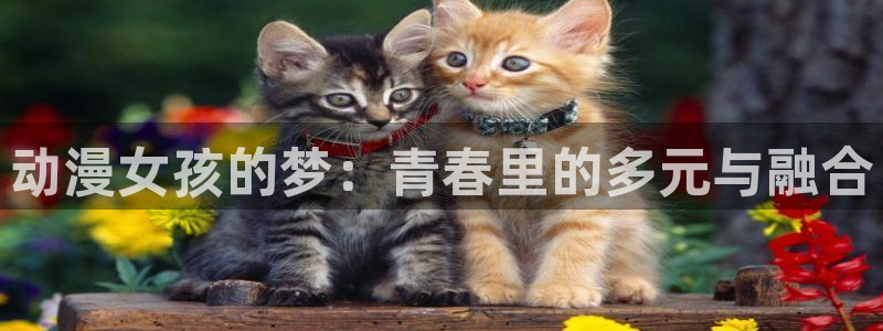 风车动漫免费全集在线播放：动漫女孩的梦：青春里的多元与融合