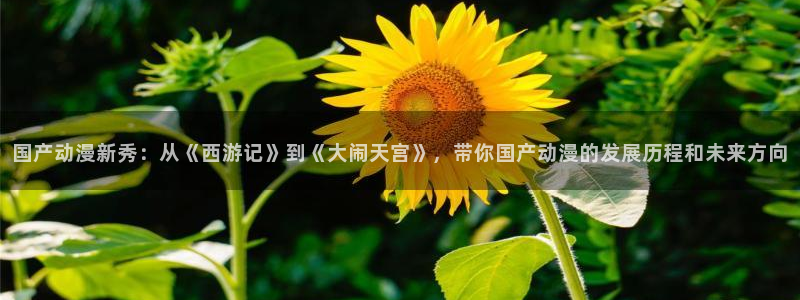 风车动漫(p)进击的巨人：国产动漫新秀：从《西游记》到《大闹天宫》，带你国产动漫的发展历程和未来方向