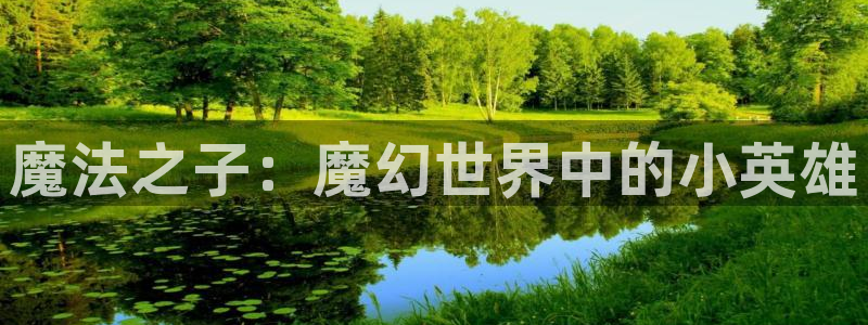 缘之空樱花风车动漫：魔法之子：魔幻世界中的小英雄