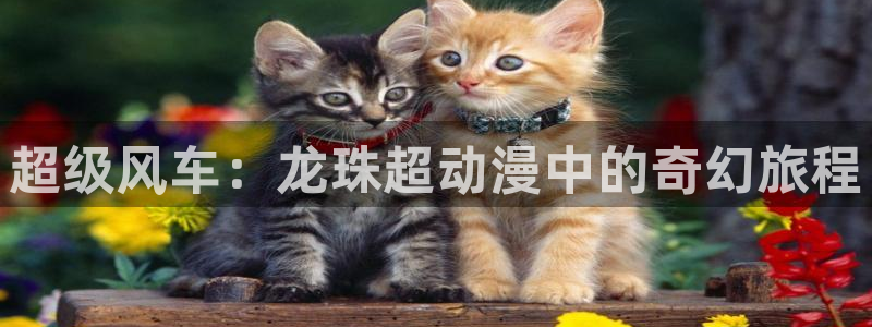 樱花动漫风车动漫专注动漫的门户：超级风车：龙珠超动漫中的奇幻旅程